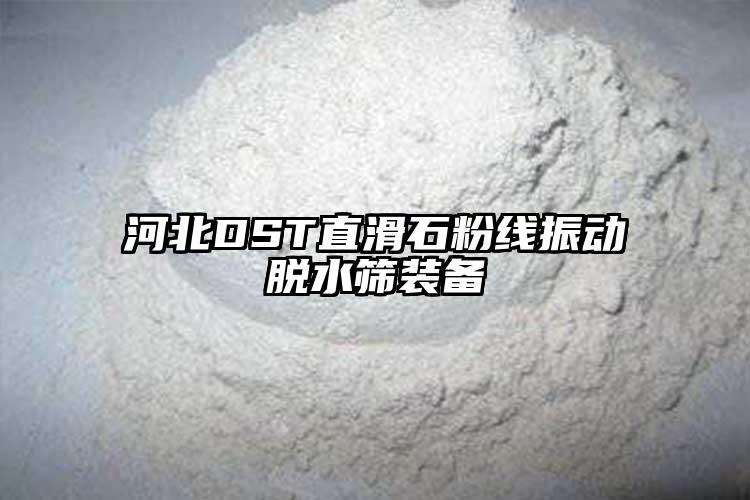 河北DST直滑石粉线振动脱水筛装备