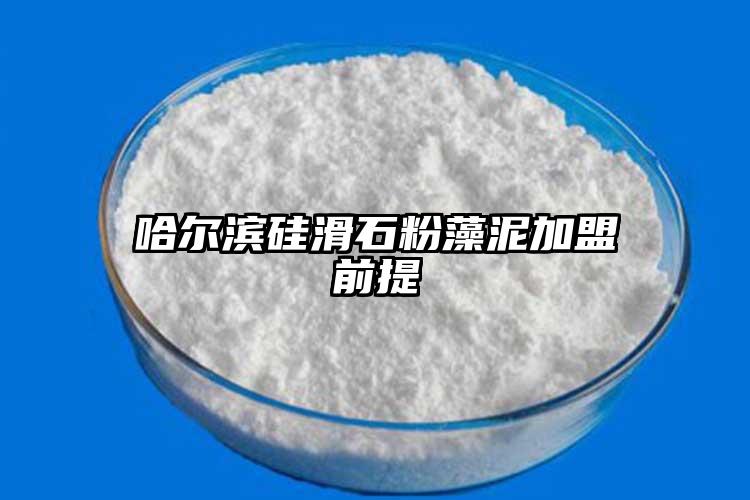 哈尔滨硅滑石粉藻泥加盟前提