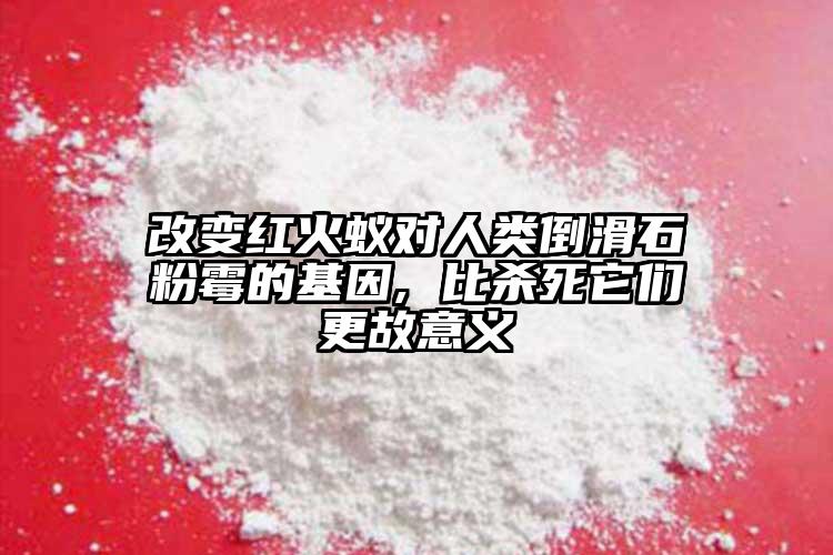 改变红火蚁对人类倒滑石粉霉的基因, 比杀死它们更故意义