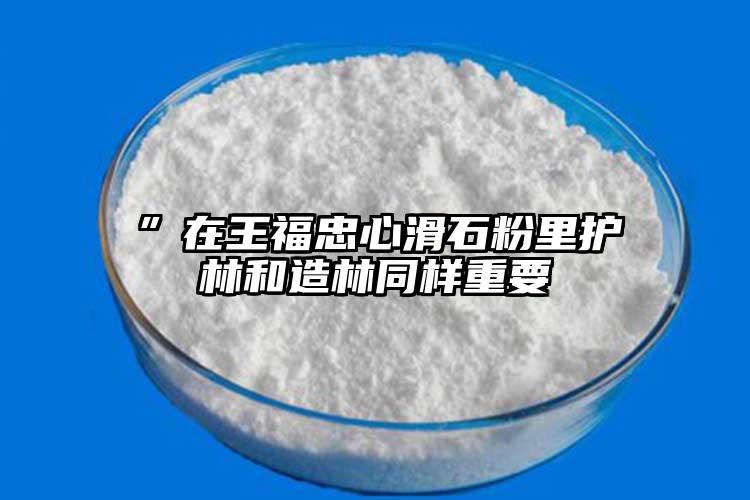 ”在王福忠心滑石粉里护林和造林同样重要