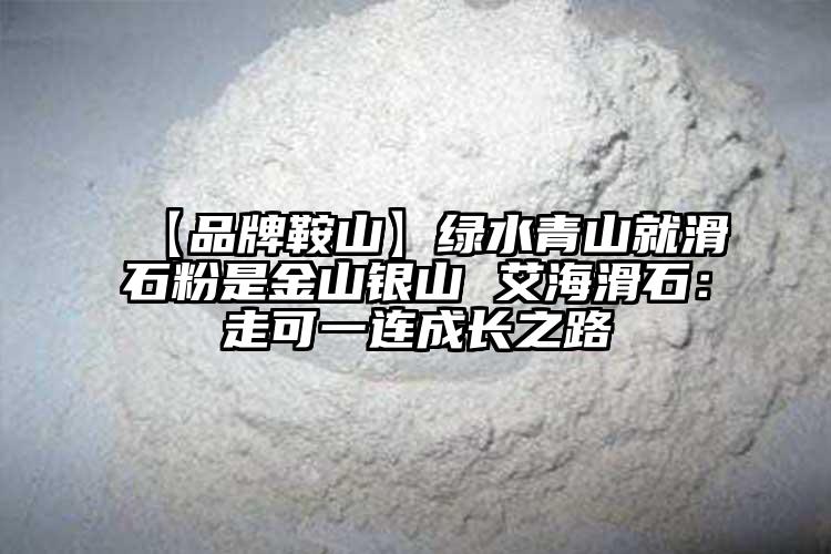 【品牌鞍山】绿水青山就滑石粉是金山银山 艾海滑石：走可一连成长之路