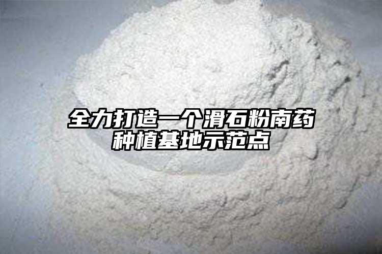 全力打造一个滑石粉南药种植基地示范点