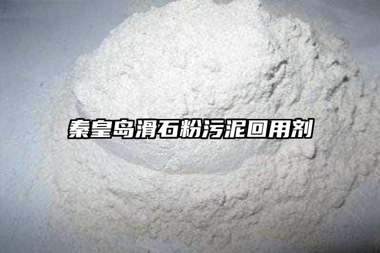 秦皇岛滑石粉污泥回用剂