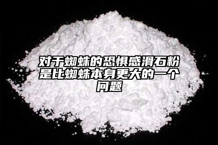 对于蜘蛛的恐惧感滑石粉是比蜘蛛本身更大的一个问题