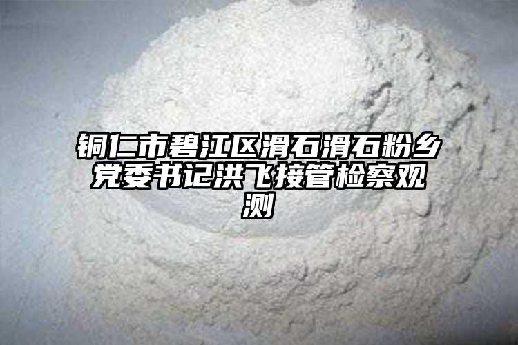 铜仁市碧江区滑石滑石粉乡党委书记洪飞接管检察观测