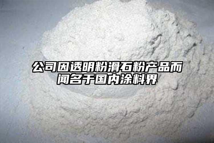 公司因透明粉滑石粉产品而闻名于国内涂料界