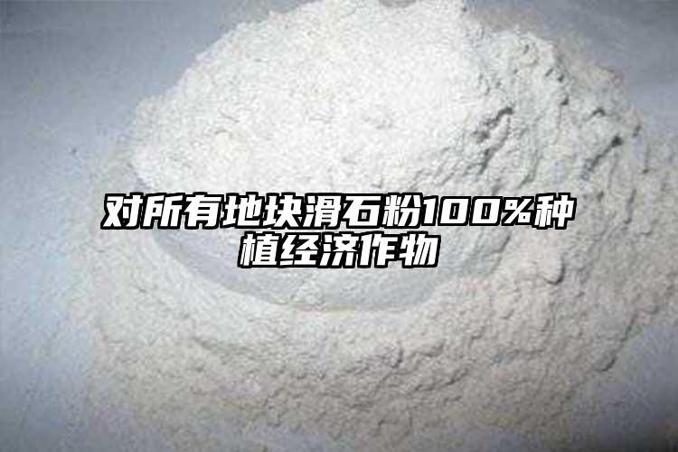 对所有地块滑石粉100%种植经济作物