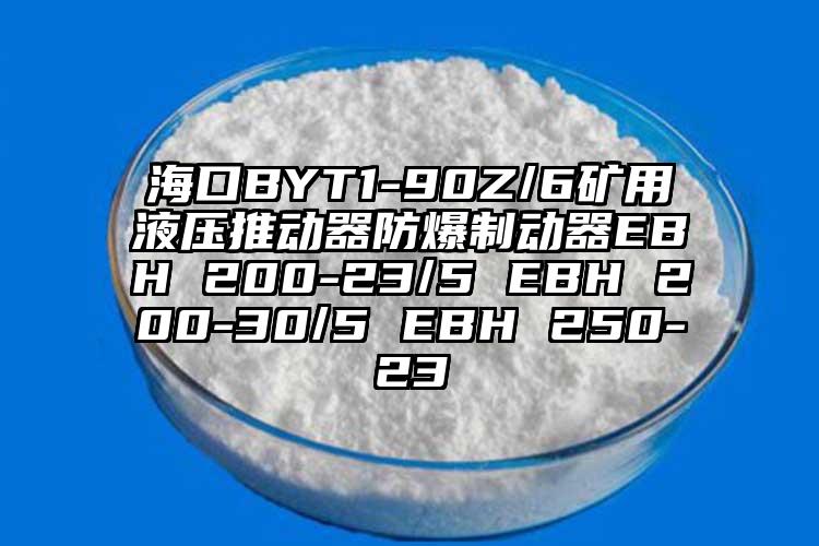 海口BYT1-90Z/6矿用液压推动器防爆制动器EBH 200-23/5 EBH 200-30/5 EBH 250-23