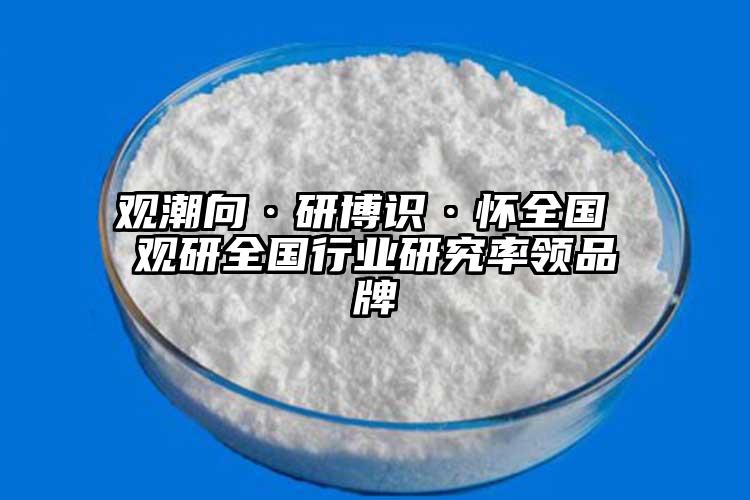 观潮向·研博识·怀全国 观研全国行业研究率领品牌