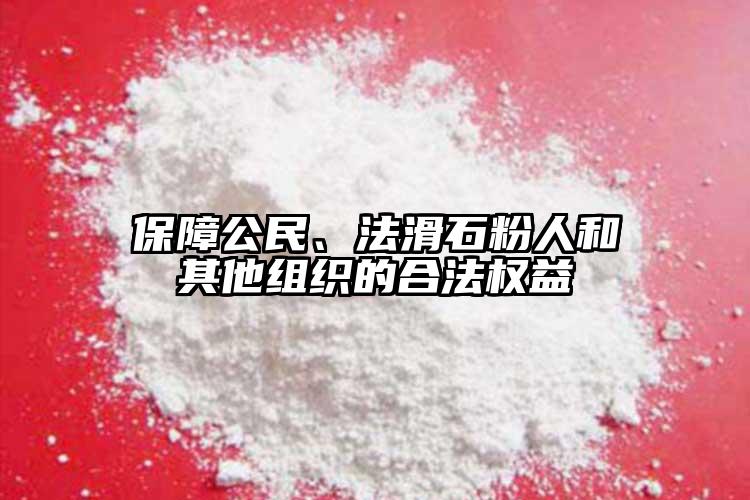 保障公民、法滑石粉人和其他组织的合法权益