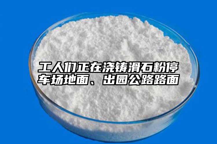 工人们正在浇铸滑石粉停车场地面、出园公路路面