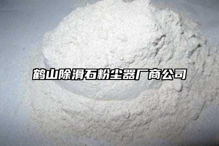 鹤山除滑石粉尘器厂商公司