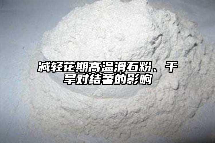 减轻花期高温滑石粉、干旱对结薯的影响