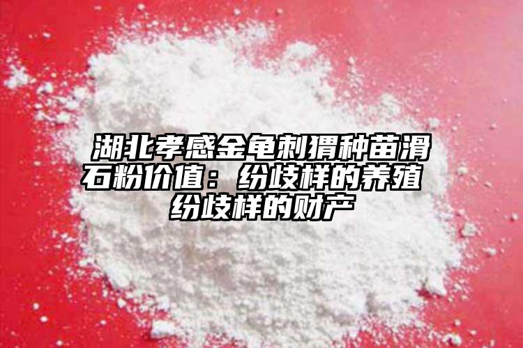 湖北孝感金龟刺猬种苗滑石粉价值：纷歧样的养殖 纷歧样的财产
