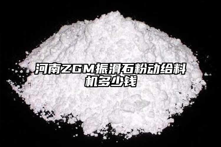 河南ZGM振滑石粉动给料机多少钱