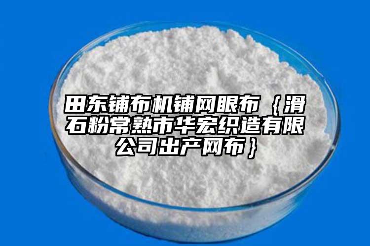 田东铺布机铺网眼布｛滑石粉常熟市华宏织造有限公司出产网布｝