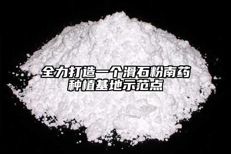全力打造一个滑石粉南药种植基地示范点