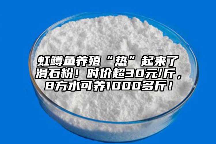虹鳟鱼养殖“热”起来了滑石粉！时价超30元/斤，8方水可养1000多斤！