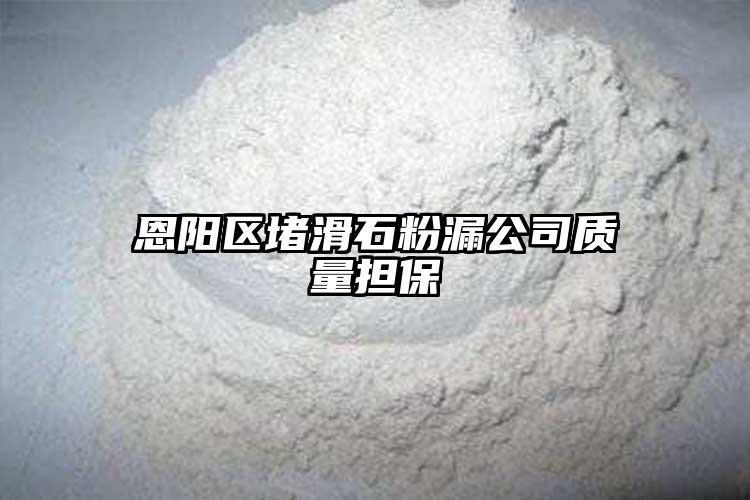 恩阳区堵滑石粉漏公司质量担保