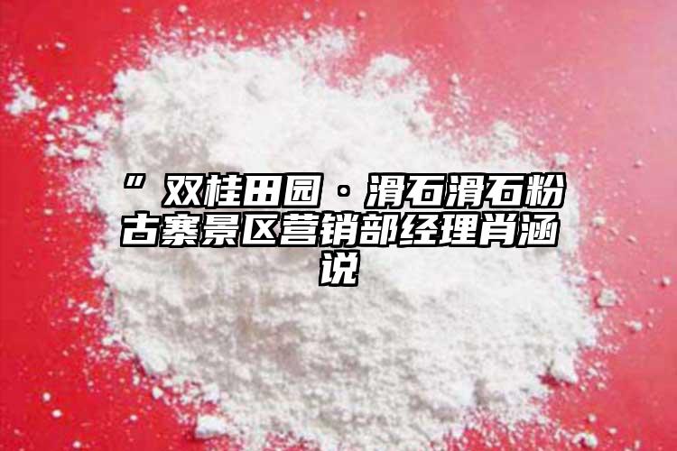 ”双桂田园·滑石滑石粉古寨景区营销部经理肖涵说